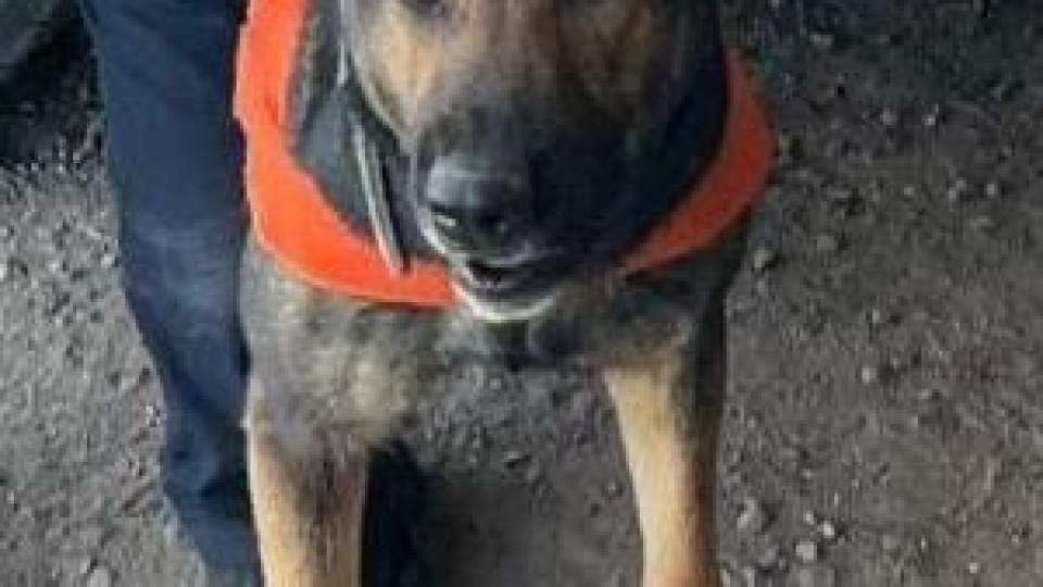 Operativo del Gobierno de Sonora asegura narcótico en Hermosillo